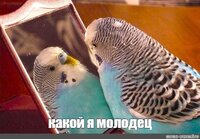 i (3).jpeg
