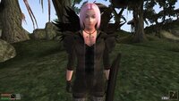 Morrowind 2026-05-19 22-29-56-67.jpg