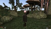 Morrowind 2026-05-19 22-30-27-06.jpg