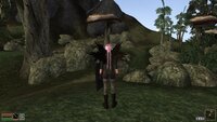 Morrowind 2026-05-19 22-30-33-90.jpg