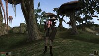 Morrowind 2026-05-19 22-30-52-70.jpg