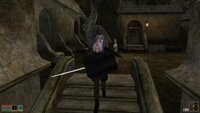 Morrowind 2026-05-31 15-02-31-70.jpg