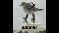 maxresdefault.jpg