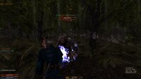 200int_nostonos_28.3.6.jpeg