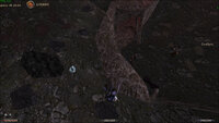 why.jpg