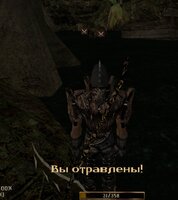 Screenshot_38.jpg