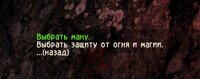 dari.jpg