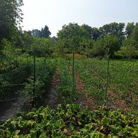 photo_2026-07-04_19-15-30.jpg