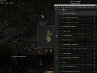 Gothic2 2026-07-18 14-14-35-58.jpg