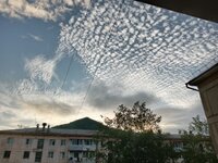 IMG_20260803_194549_328.jpg