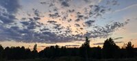 20260803_202204.jpg