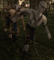 Gothic2ZombieNovice.jpg