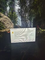 IMG_1611.jpeg