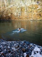 IMG-20171126-WA0024.jpg
