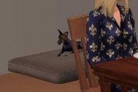 hr.JPG