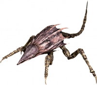 Crabbie.png