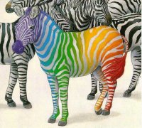 75817850_4097126_zebra_001.jpg