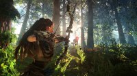 Guerilla-Games-Horizon_003.jpg