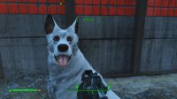 Dogmeat 1.jpg