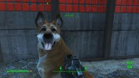 Dogmeat 3.jpg