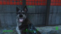 Dogmeat 4.jpg