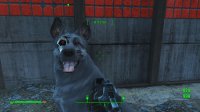 Dogmeat 5.jpg