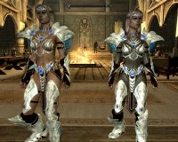 Silverlight_Armor_&_Warglaives_02.jpg