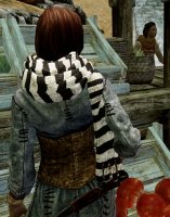 Skyrim_Scarves_and_Mufflers_02.jpg