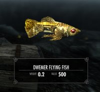 Fishing_in_Skyrim_07.jpg