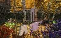 Immersive_Laundry_06.jpg