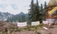 Immersive_Laundry_26.jpg