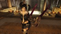 TERA_Weapons_Collection_21.jpg