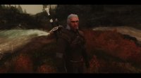 Geralt_Of_Rivia_Voiced_Follower_03.jpg