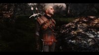Geralt_Of_Rivia_Voiced_Follower_04.jpg