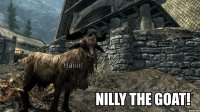 Nilly_the_Skyrim_Goat_01.jpg