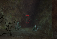 645653.png