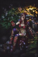 Alexstrasza and Krasus 03.jpg