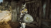 Paladin_Armor_01.jpg