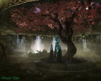 Druid's Den - Collectors Edition 00.jpg