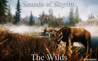 Audio overhaul for Skyrim 2 & Purity patches 04.jpg