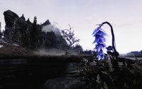 Clear ENB for Climates of Tamriel 02.jpg