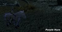 Conjure_Rideable_Ethereal_Horse_Spell_05.jpg
