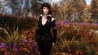 Standalone Witcher 3 Female Armor Retextures 03.jpg