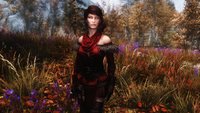Standalone Witcher 3 Female Armor Retextures 04.jpg