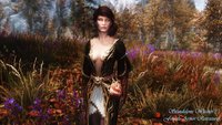 Standalone Witcher 3 Female Armor Retextures 01.jpg