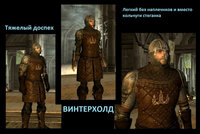 Replacer armor of guards and soldiers 07.jpg