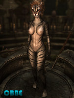 Feminine_Khajiit_Textures_01.jpg