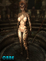 Feminine_Khajiit_Textures_02.jpg