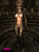 Feminine_Khajiit_Textures_03.jpg