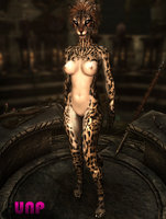 Feminine_Khajiit_Textures_04.jpg